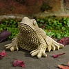 Campania International Tommy Toad Cast Stone Statue