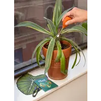 Plant Care Kit