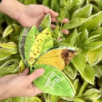 Plant Health Handbook