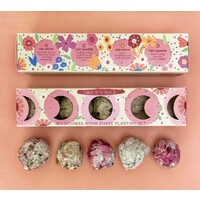 Moon Phase Wildflower Seed Planting Set