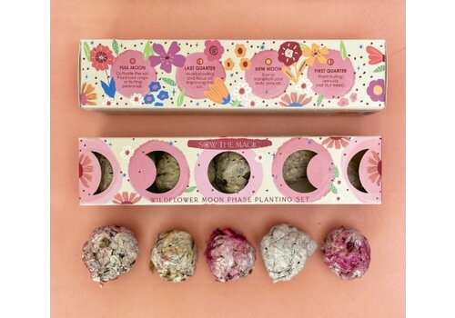  Sow the Magic Moon Phase Wildflower Seed Planting Set 