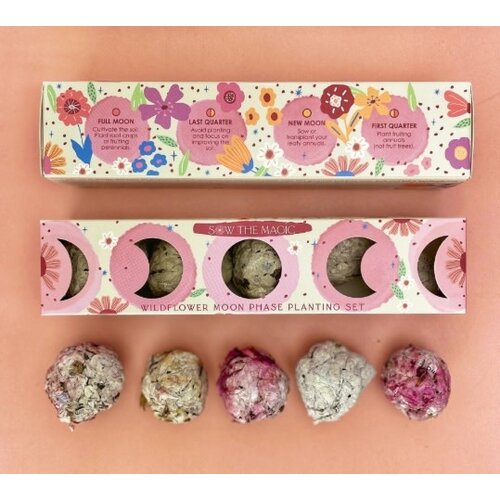  Sow the Magic Moon Phase Wildflower Seed Planting Set 