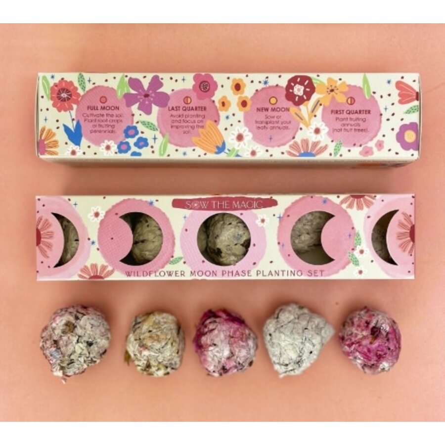 Moon Phase Wildflower Seed Planting Set