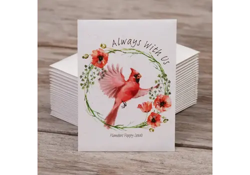  Bentley Seed Co. Memorial Cardinal - Flanders Poppy Seed Packets 