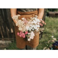 Yarrow Summer Berries Seeds