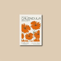 Calendula Zeolights Seeds