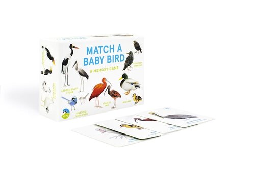  Match a Baby Bird: An Avian Memory Game 