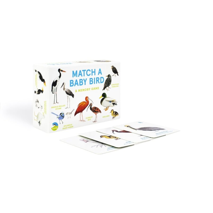 Match a Baby Bird: An Avian Memory Game