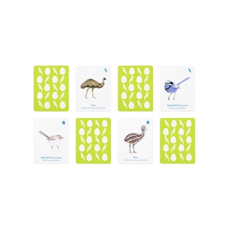 Match a Baby Bird: An Avian Memory Game