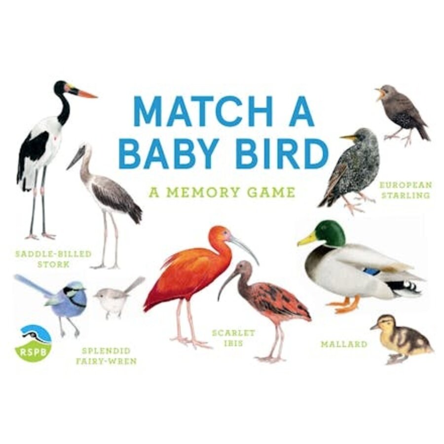 Match a Baby Bird: An Avian Memory Game