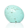 Nora Fleming Eggstra-ordinary Mini