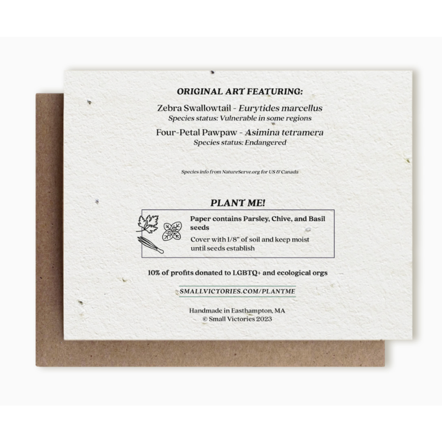 Plantable Herbs Card - Zebra Swallowtail