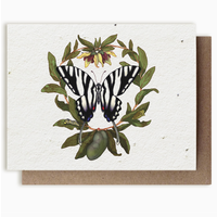 Plantable Herbs Card - Zebra Swallowtail