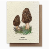 Small Victories Plantable Wildflower Seed Card - Morel Mushroom