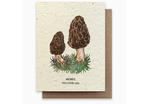  Small Victories Plantable Wildflower Seed Card - Morel Mushroom 