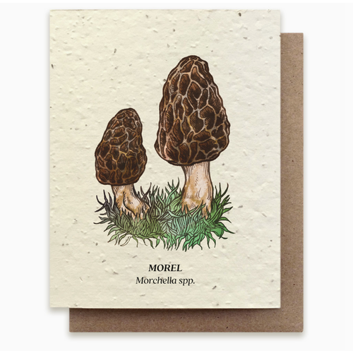  Small Victories Plantable Wildflower Seed Card - Morel Mushroom 
