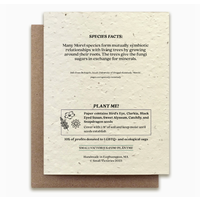 Plantable Wildflower Seed Card - Morel Mushroom
