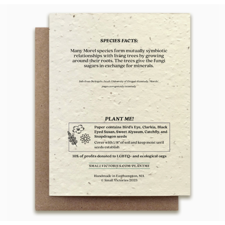 Plantable Wildflower Seed Card - Morel Mushroom