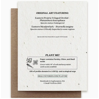 Plantable Herbs Card - Meadowlark