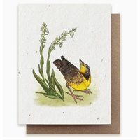 Plantable Herbs Card - Meadowlark