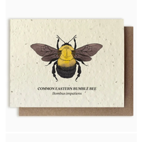 Plantable Wildflower Seed Card - Bumble Bee
