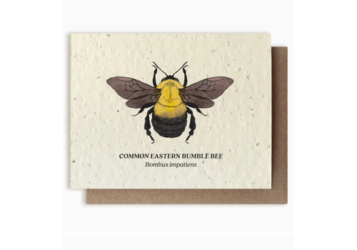  Small Victories Plantable Wildflower Seed Card - Bumble Bee 