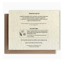 Plantable Wildflower Seed Card - Bumble Bee