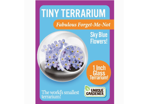  Silver Circle Products Flowering Tiny Terrarium 