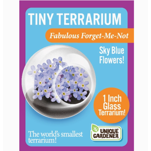  Silver Circle Products Flowering Tiny Terrarium 