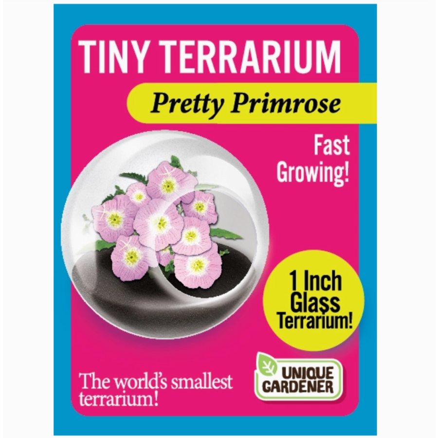 Flowering Tiny Terrarium