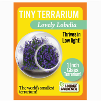 Flowering Tiny Terrarium