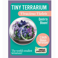 Flowering Tiny Terrarium