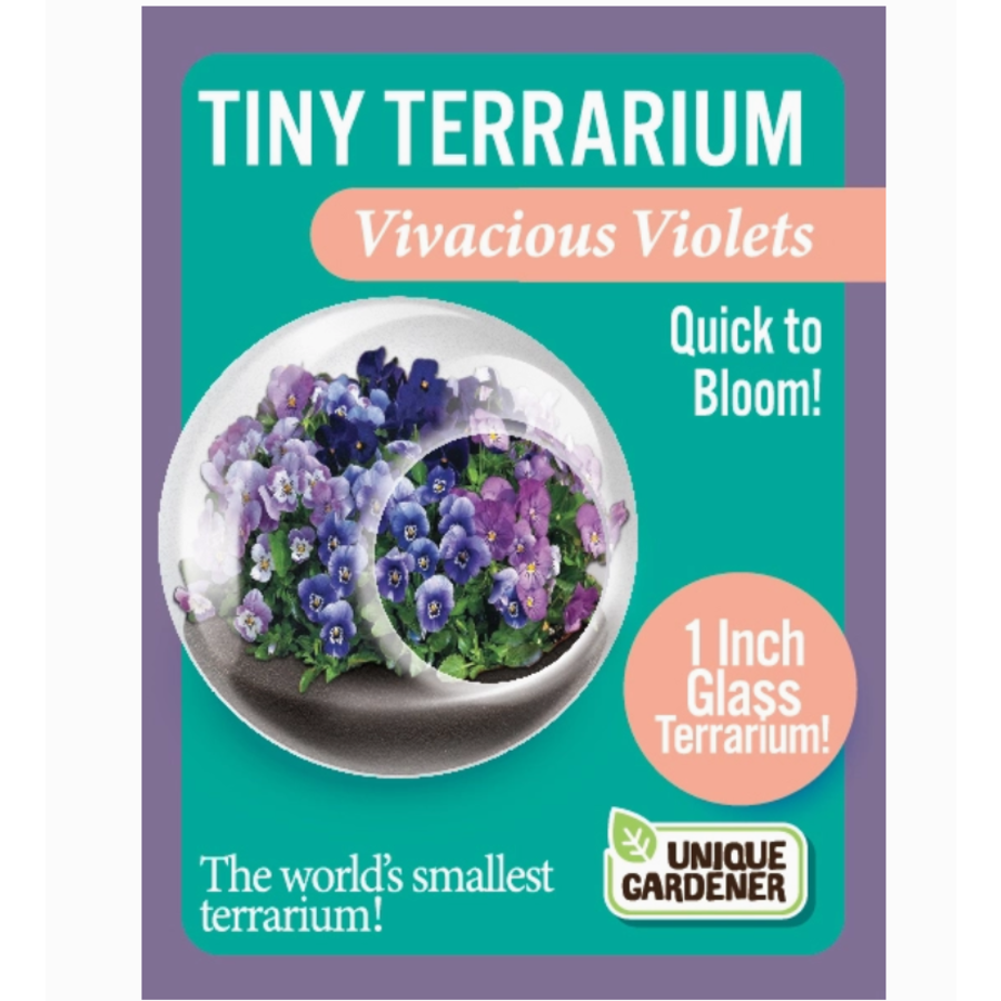 Flowering Tiny Terrarium