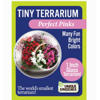Flowering Tiny Terrarium