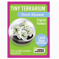 Flowering Tiny Terrarium