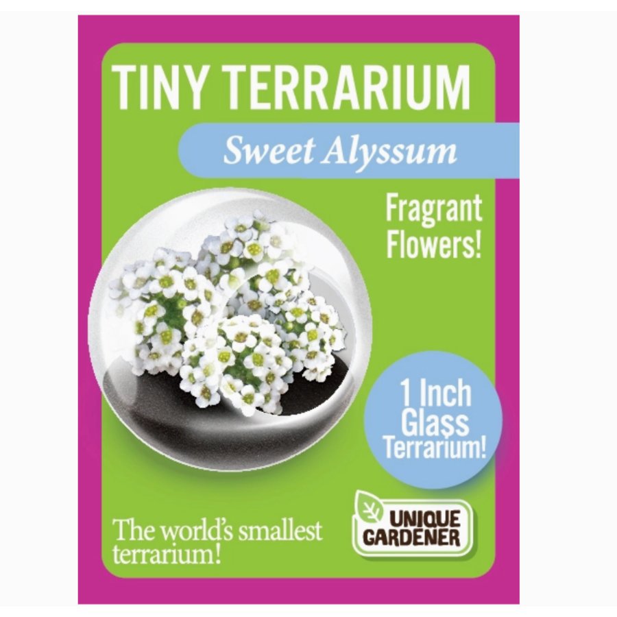 Flowering Tiny Terrarium