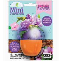 Fantastic Flowers Mini Terrarium