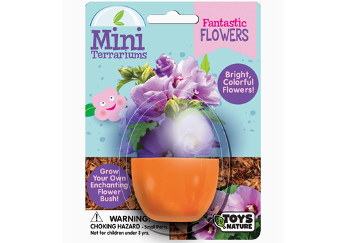  Silver Circle Products Fantastic Flowers Mini Terrarium 