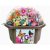 Silver Circle Products Bountiful Butterfly Garden Biosphere