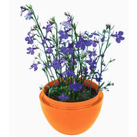 Fairies Flower Mini Terrarium