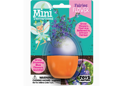  Silver Circle Products Fairies Flower Mini Terrarium 