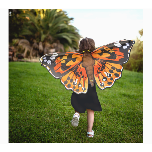  Insect Lore Dress-Up Butterfly Wings 