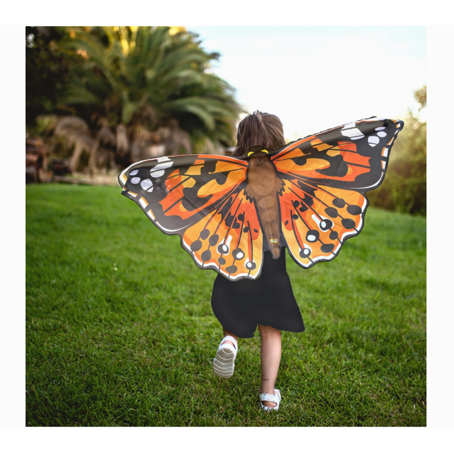 Dress-Up Butterfly Wings