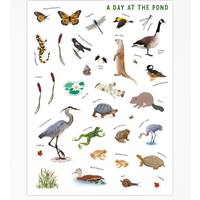 Backpack Explorer Stickers: Nature Adventure_