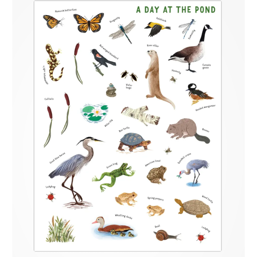 Backpack Explorer Stickers: Nature Adventure_