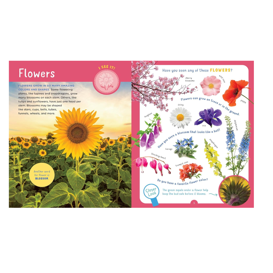 Backpack Explorer: Discovering Plants and Flowers