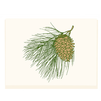 Acorn Pine Branch Card