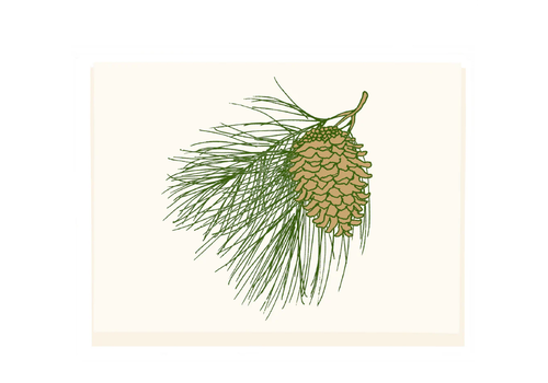  Molly O Acorn Pine Branch Card 