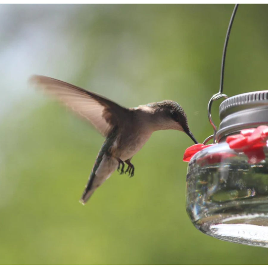 Mason Jar Hummingbird Feeder