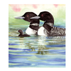 Wendy Hazen Gift Card Loon Family